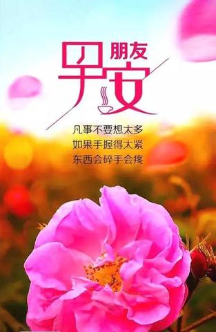 净化心灵的唯美句子（净化心灵的经典长句）