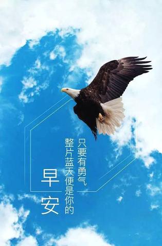 净化心灵的唯美句子（净化心灵的经典长句）