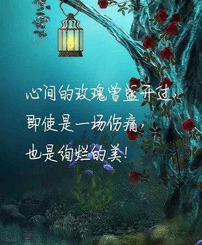 分手后释怀的文案（暗恋释怀的句子名言）