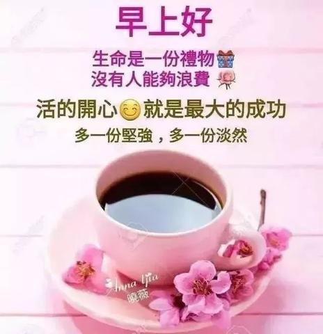 早安暖心话短句正能量语句（发早安的朋友圈的句子寄语）
