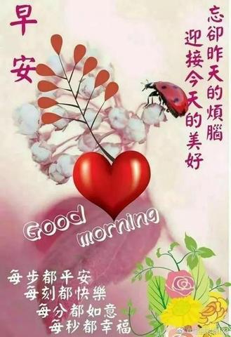 早安暖心话短句正能量语句（发早安的朋友圈的句子寄语）