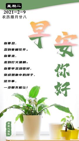 早安搞笑幽默文案（适合早安的鼓励句子）