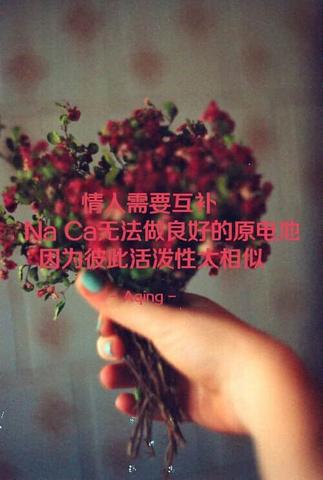 治愈心情的句子（很治愈心情的短语）
