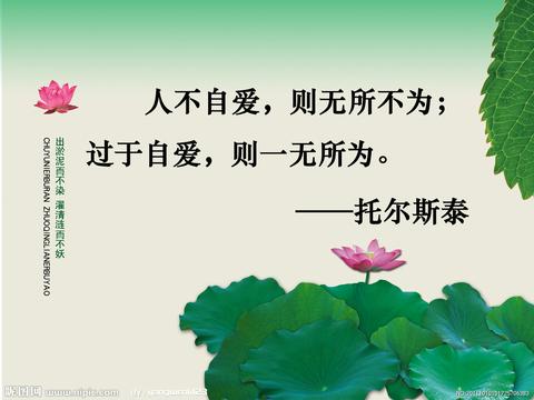 人生格言句子短句（金句人生格言语句）