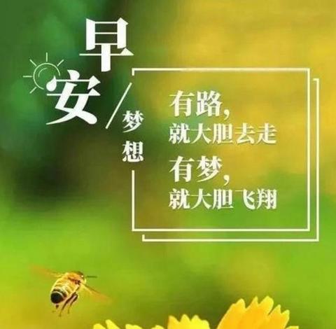 正能量早安短句最新（高情商早安问候方式简单短语精辟）
