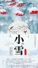 小雪节气特色文案怎么写（节气小雪八字精辟）