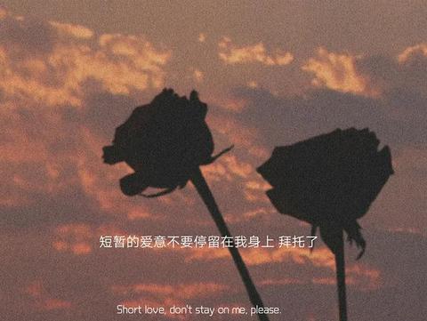 小众温柔文案短句（小众ins风诗句）