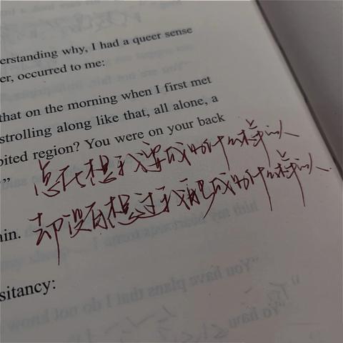 焦虑治愈文案短句（阳光干净治愈话语）