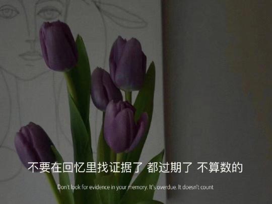 让人释怀的句子简短（小众释怀文案短句好句）