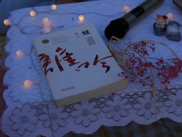 小众情绪文案短句（所有的情绪都是写在脸上句子）