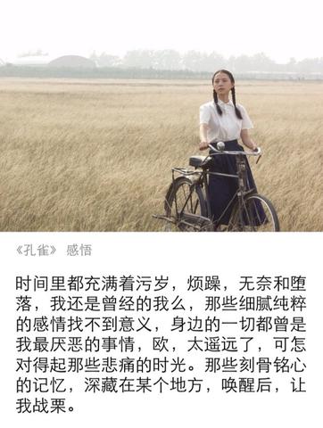 对感情释怀的文案（想让自己释怀的句子警句）