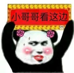 可爱搞怪的文案句子（可爱又沙雕的最新好句）