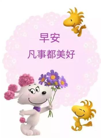 早安让人看了舒服的句子（高情商早安问候方式简单短语问候语）