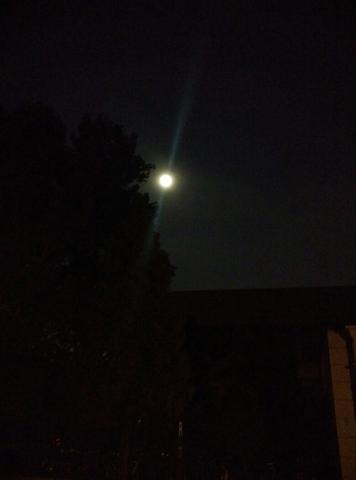 寂寞的夜晚伤感短句子文案（寂寞的夜晚伤感短祝福语）