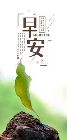 最精辟暖心的早安心语（早安激励的句子经典简短优美）