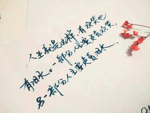 富有哲理的句子简短（哲理短句好句）