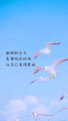 善良真诚三观正真的句子（温柔干净的文案无关爱情语录）