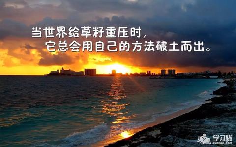 人间清醒的高级文案短句（惊艳的清醒语句）