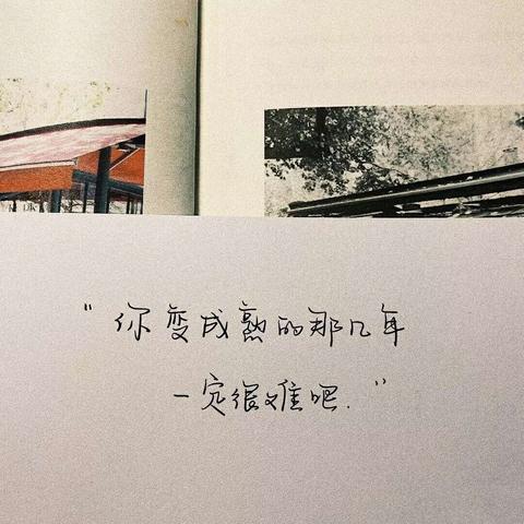 治愈系励志文案（温柔治愈的长句短文）