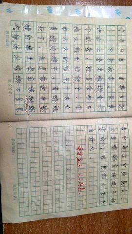 日记好开头好结尾摘抄大全（日记开头优美句子雨天唯美）