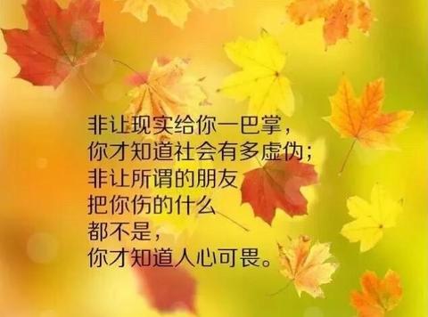 佛系经典短句（佛系语录大全赠言）
