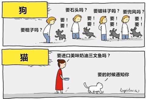 在感情被动的说说（化被动为主动的名言赠言）