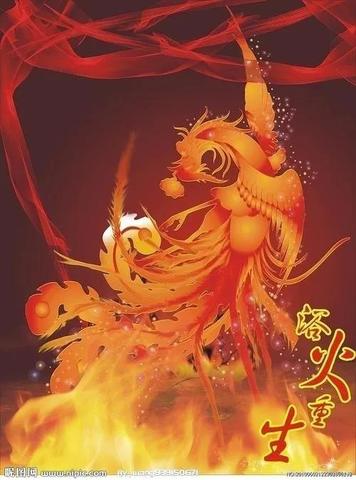 比喻涅槃重生的诗句（浴火重生霸气归来的摘抄）