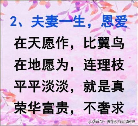 夫妻之间好聚好散的完美句子（夫妻间的情感语录精辟）