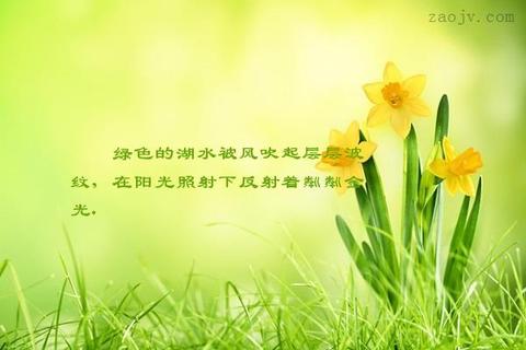 描写阳光照在脸上的句子唯美（温暖治愈阳光的短句名言）
