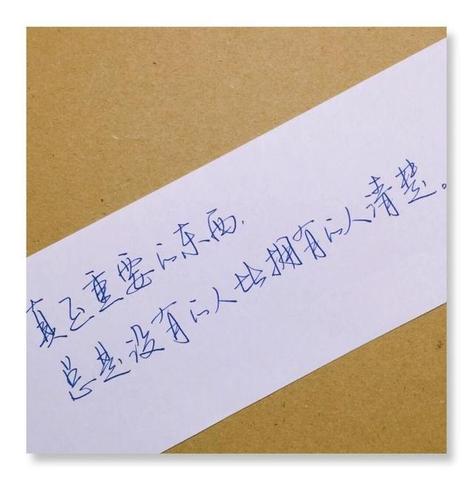 女人励志有深度有品味的句子（女人努力生活的名言）