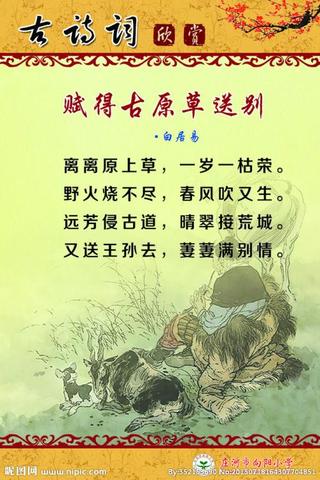 思念家乡的优美短句200字（一句简短的赞美家乡句子话语）