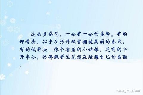 形容梨花的香味的句子优美（桃花梨花的唯美语句）