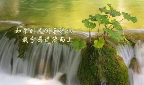 平平淡淡的生活感悟的短语（喜欢平淡安静简单生活的句子问候语）