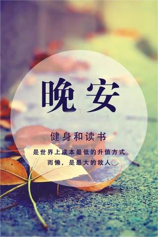 高情商说晚安的短句100句（晚安5～10字精美句子语句）