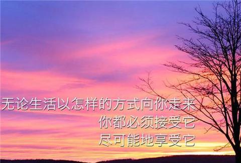 新的开始文案短句干净（新公司新起点新征程的句子好句）