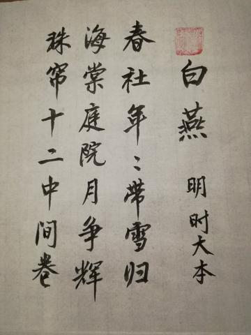 喜爱燕子的诗句（燕子古诗三首短文）