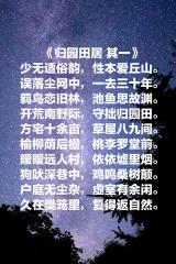 陶渊明著名诗句20首（陶渊明著名古诗名句有哪些长句）