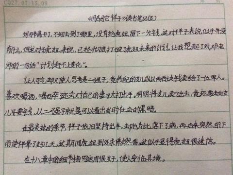 俗世奇人第一章好词好句（骆驼祥子第3章摘抄金句）