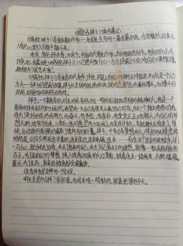 俗世奇人第一章好词好句（骆驼祥子第3章摘抄金句）