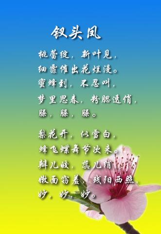 关于桃花最出名的诗句（三月桃花的寄语）