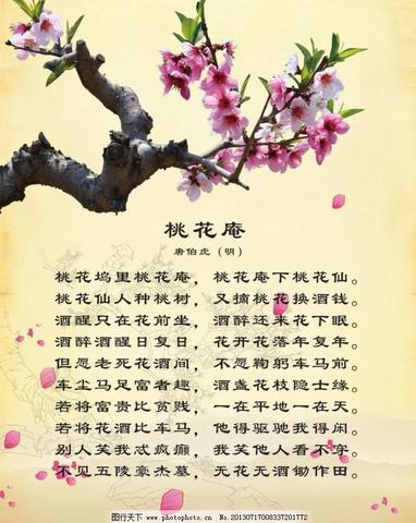 关于桃花最出名的诗句（三月桃花的寄语）