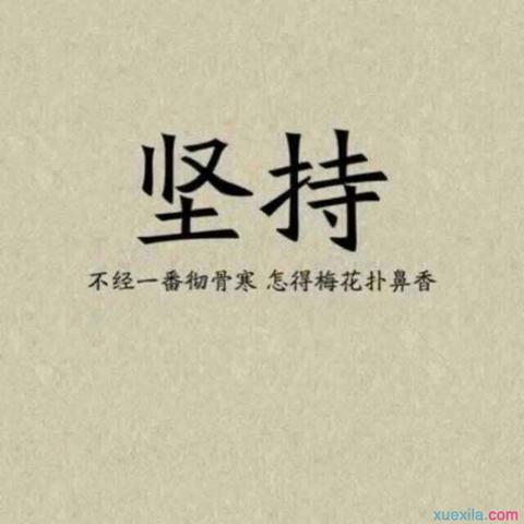 喜欢一个人坚持不放弃的说说（坚持到底的励志名言祝福语）
