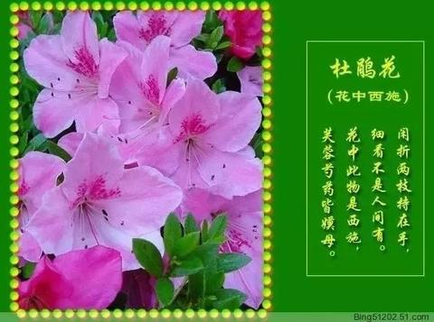 含有文的诗句大全（有月的飞花令优美）