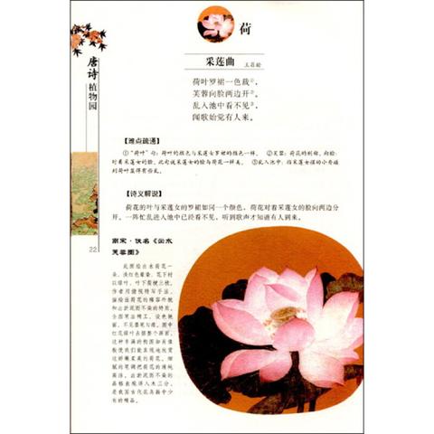500首带植物的诗句（有关描写植物的古诗赠言）