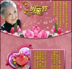 描写母亲的唯美句子段落（赞美母亲的经典语录问候语）