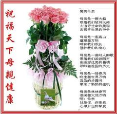描写母亲的唯美句子段落（赞美母亲的经典语录问候语）