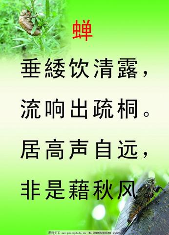 有关蝉的诗句古诗（有关蝉的成语和精辟）