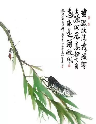 有关蝉的诗句古诗（有关蝉的成语和精辟）