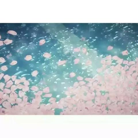 樱花的句子唯美短句八字（樱花的说说唯美短语）