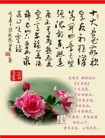 描写玫瑰花的古诗（玫瑰花的诗句经典名句金句）